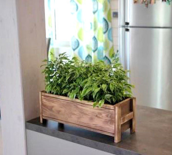 Кашпо "Гравілат" мускат Миколаїв - фото 1