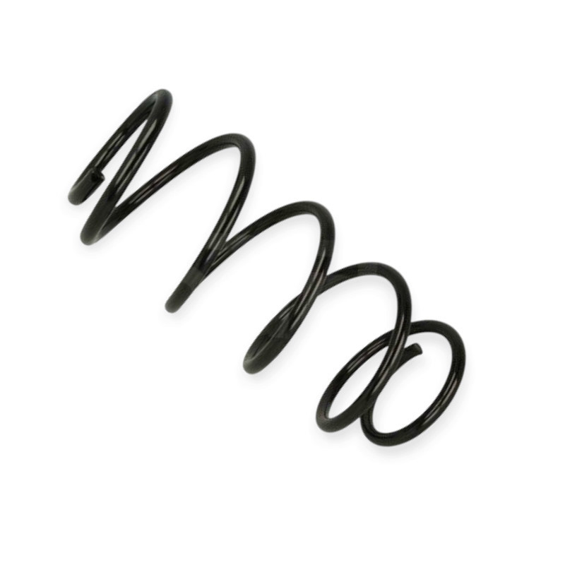 Пружина Opel Astra G 1.2-1.4i (98-09) передняя Мукачево - изображение 1