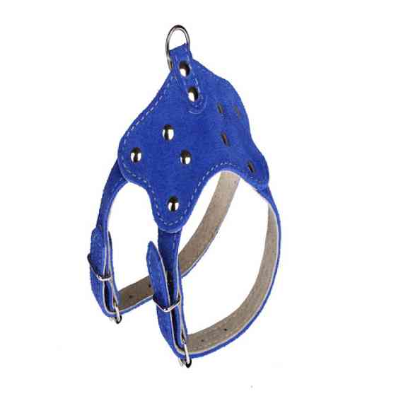 Шлейка 814 "ВЕЛЮР" для декоративних порід №3 Вінниця