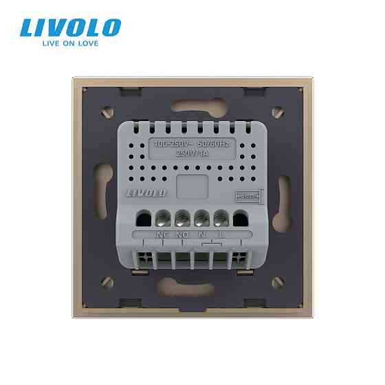 LIVOLO Електрична розетка з USB Type-C 18Вт для зарядки, з заземленням, LIVOLO, золота, скляна Коломия