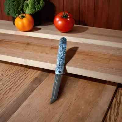 Ніж Ganzo G626-GS Вінниця