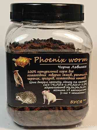 Чорна Львинка "Phoenix Worm" тм Буся. Корм для їжаків, птахів, гризунів, рептилій. 450мл/120г Зміїв