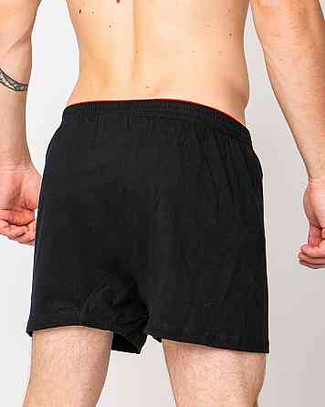 Сімейні чоловічі труси 100% бавовна Ozkan 0041-4 L Київ