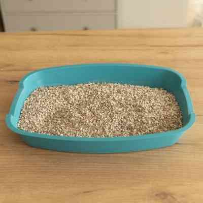 Наполнитель для туалета Природа Sani Pet бентонитовый средний с лавандой 5 кг NEW (4823082404346) Винница