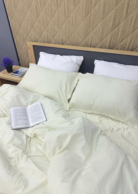 Комплект постільної білизни Страйп-сатин Євро 200х230 з простирадлом на резинці Шампань (88-172) Київ - фото 6