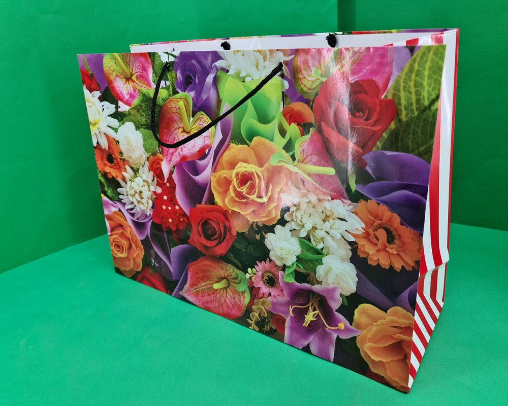 Бумажный пакет горизонтальный гигант 46*33*15 (артGG-023) (12 шт) Харьков - изображение 1