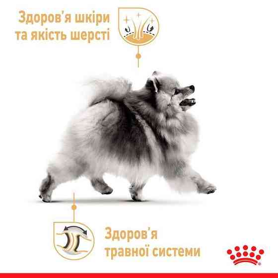 Royal Canin Pomeranian Adult (Роял Канин Помераниан Эдалт) корм для взрослых собак померанский шпиц с птицей Запорожье