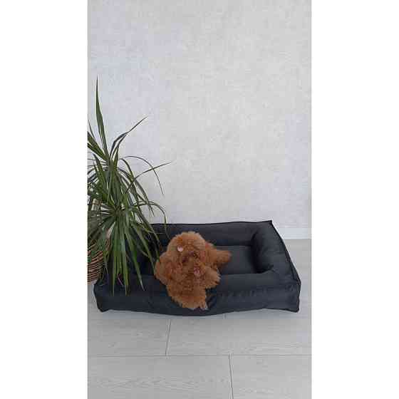 Водонепроникний лежак лежанка спальне місце для тварин зі знімним чохлом чорний XL (105 см) Київ