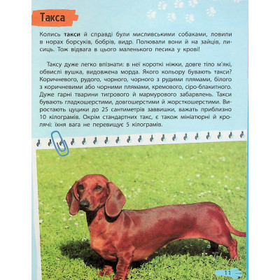 Книга Мініенциклопедія. Хатні улюбленці Vivat (9789669827241) Вінниця - фото 6