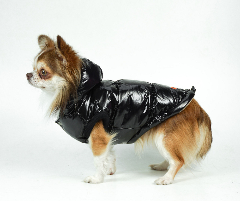 Жилетка для собак Лакированная утепленная на флисе, жилет лаковый Dogs Bomba на синтепоне черный 8 Одесса - изображение 1