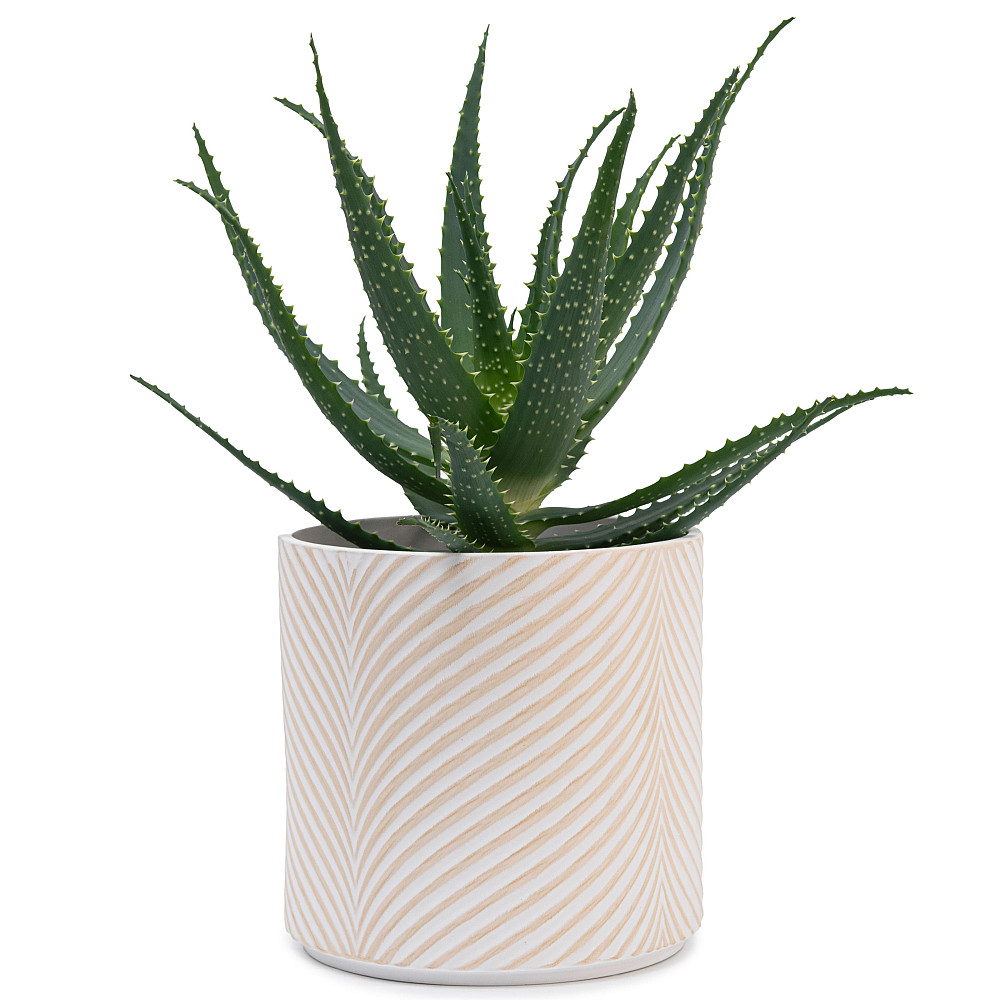 elemi Набір кашпо для квітів керамічні elemi "Листок" (13"; 16"; 19") (1,3 л; 2,3 л; 4,5 л) біл Коломыя - изображение 8