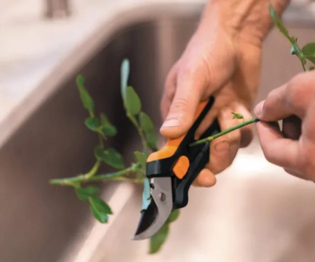 Секатор для Квітів 22 см Fiskars "Solid SP14" (1051601) Нержавіюча сталь Нововолинськ - фото 10