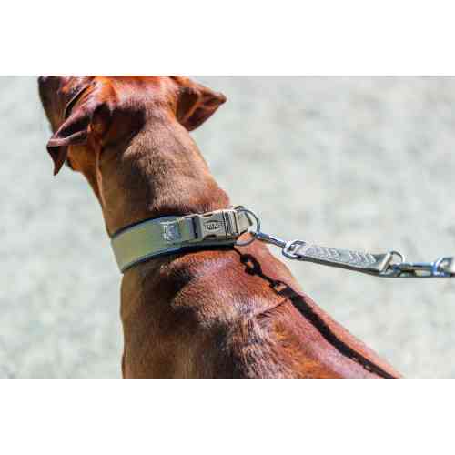 Нашийник Trixie Premium для собак екстраширокий M–L 40–48 см 40 мм пісочно-сірий Київ