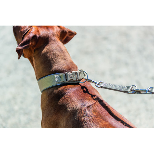 Ошейник Trixie Premium для собак экстраширокий M–L 40–48 см 40 мм песочно-серый Киев - изображение 5