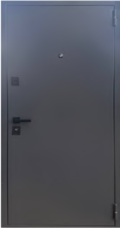 Двері вхідні Міністерство дверей ПБУ-262  Вулиця RAL-1409 / Оксид темний 860х1900 мм Київ