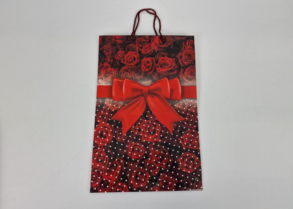 Великий паперовий пакет вертикальний 25/37/8 (артBV-014) (12 шт.) Харків - фото 2