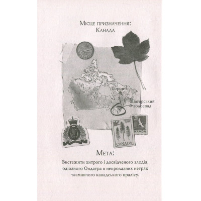 Книга Агата Містері. Крадіжка на Ніагарському водоспаді. Книга 4 - Сер Стів Стівенсон Видавництво РМ (9786178639556) Вінниця - фото 9