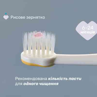 Дитяча зубна щітка Chicco 6-36 міс., 2 шт. бузково/жовта (8058664174706) (12082.00) Вінниця