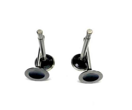 Клапани МТ, ДНІПРО (комплект) (4шт) (Луганськ) VDK Київ