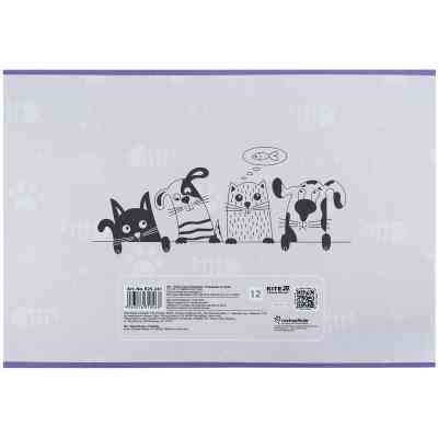 Альбом для рисования Kite Rachael Hale, 12 листов (R25-241) Винница