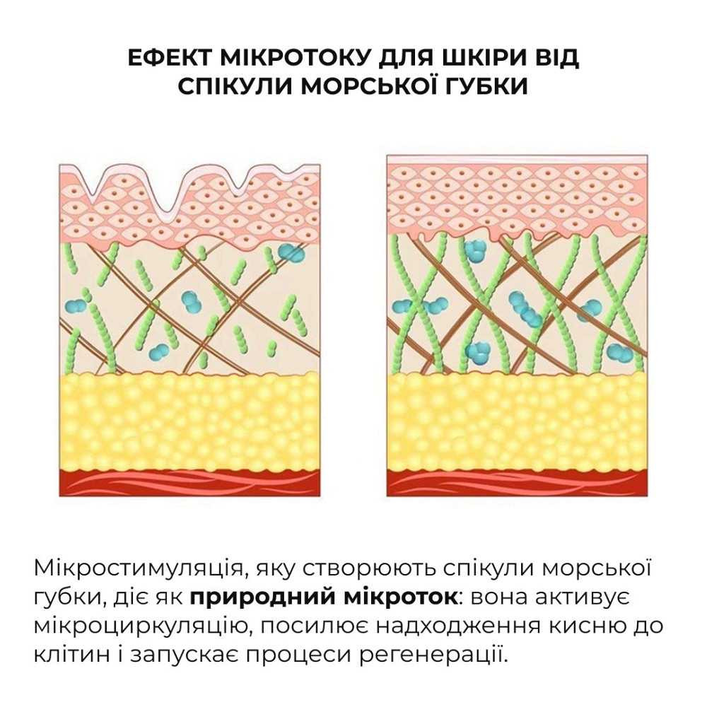 Комплекс для лифтинга и восстановления упругости кожи лица и шеи Hillary Face & Neck Firming & Lifting Complex Киев - изображение 8