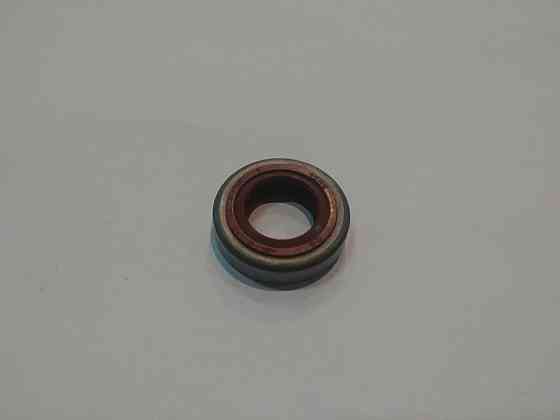 Сальники мотокоси (пара) St FS 120/200/250 (колінвалу) Мукачево