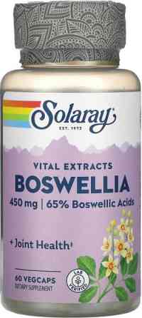 Екстракт босвелії Solaray Boswellia Resin Extract 450mg 60 vcaps Київ