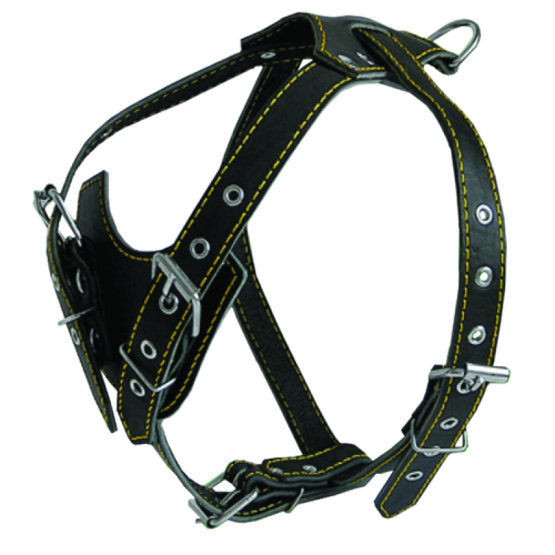 Шлея 843 25 мм "КЛАСИК" шкіряна одинарна Вінниця - фото 1