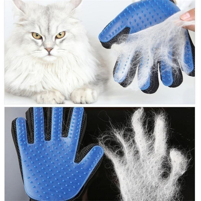Рукавичка для чищення тварин Pet Gloves Київ - фото 1