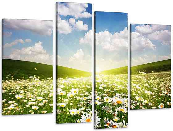 Модульна картина Поле Ромашок Art-125_4 Київ