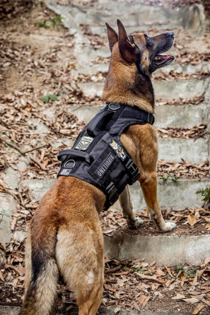 Тактична шлея, жилет для собак Onetigris розмір M (товар вживаний) Луцк