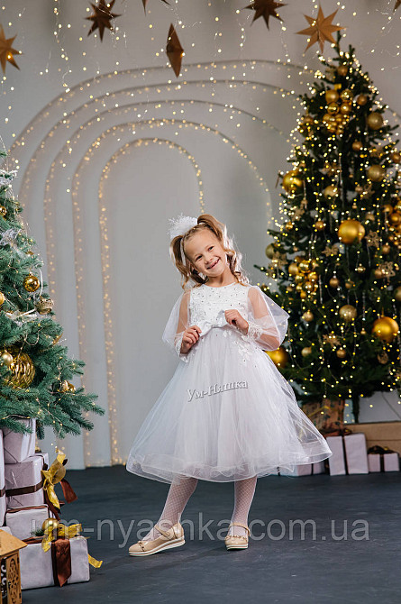 Святкова пишна сукня на ріст 110-122 Кривий Ріг - фото 3