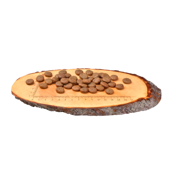 Сухий корм Carnilove Fresh Carp & Trout для дорослих собак всіх порід, риба, 12 кг Вінниця