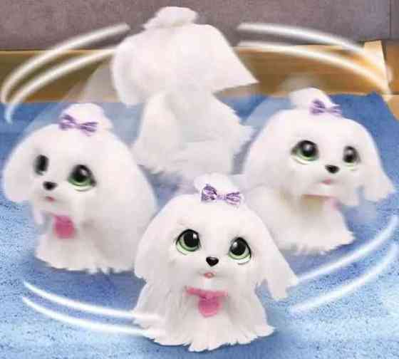 Интерактивный песик Furreal Friends Go Go Мальтийская болонка hasbro.  ОРИГІНАЛ! Харьков