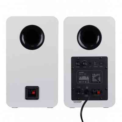 Акустическая система F&D R40BT White Винница