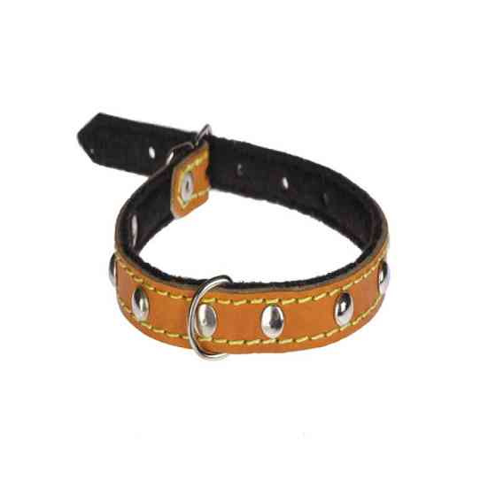 Нашийник 115 15мм "Класик" шкіра + синтепон прикрашений Вінниця