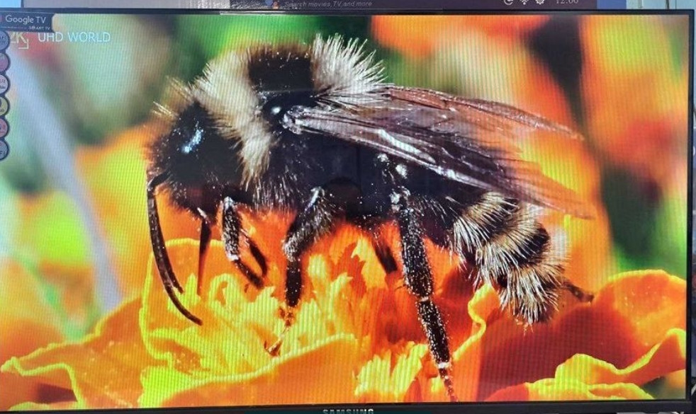 Телевізор Безрамний Новий Samsung 45" Google TV 4K (2024) Київ - фото 2