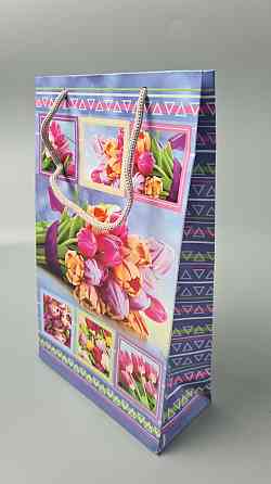 Паперовий пакет подарунковий Середній 17/26/8 (артSV-128) (12 шт.) Харків