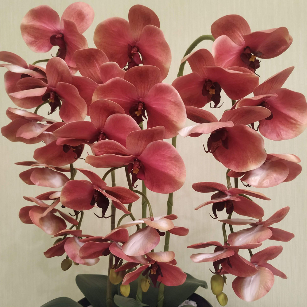 Штучна латексна орхідея VIP у керамічному кашпо кольору антрацит на три гілки персикова Дніпро - фото 10