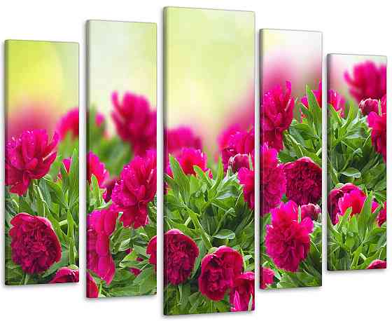 Модульная картина Цветы Пионы Art-221_5 90х132 см Киев