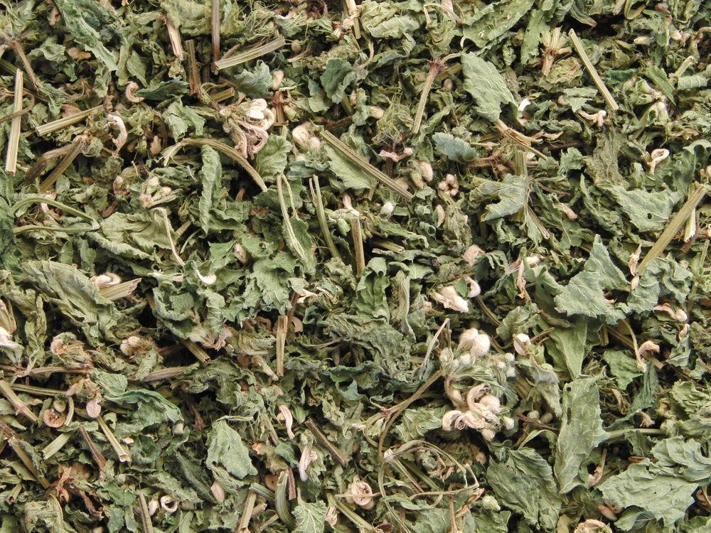 Яснотка біла (трава) (Яснотка белая) 100г master sem Киев - изображение 2