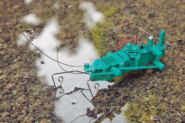 Робот-інсектоїд своїми руками 4M (00-03367) Харків - фото 6