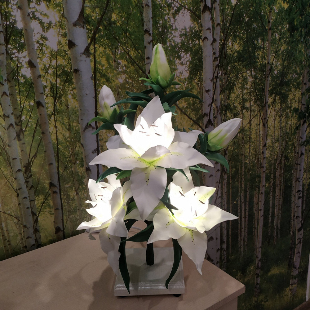 Світильник-нічник "Біла королева" Дніпро - фото 8