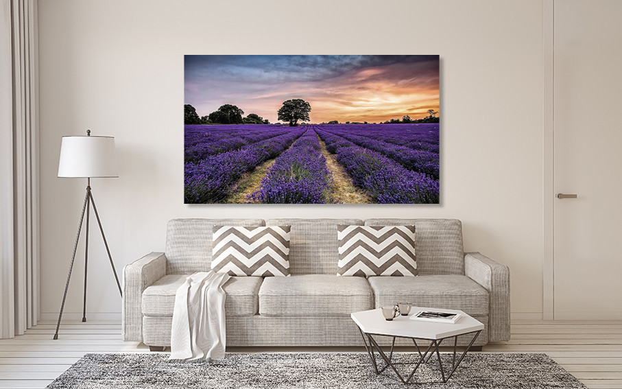 Картина холст в гостиную / спальню Лаванда  MLP_86 80х160см Киев - изображение 2