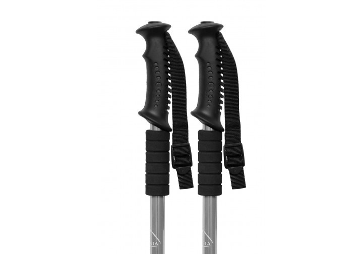 Палиця для скандинавської ходьби EasyFit Energia сіра Коломия - фото 4