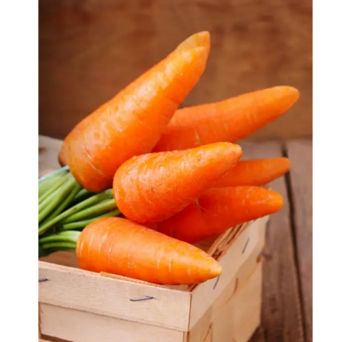 Морква Каротель 2гр Смачний Житомир - фото 3