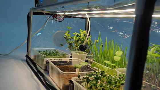 Пророщувач побутовий для насіння, мікрозелені та розсади GreenCap L Metaplant з фітосвітлом та зволо Борисполь