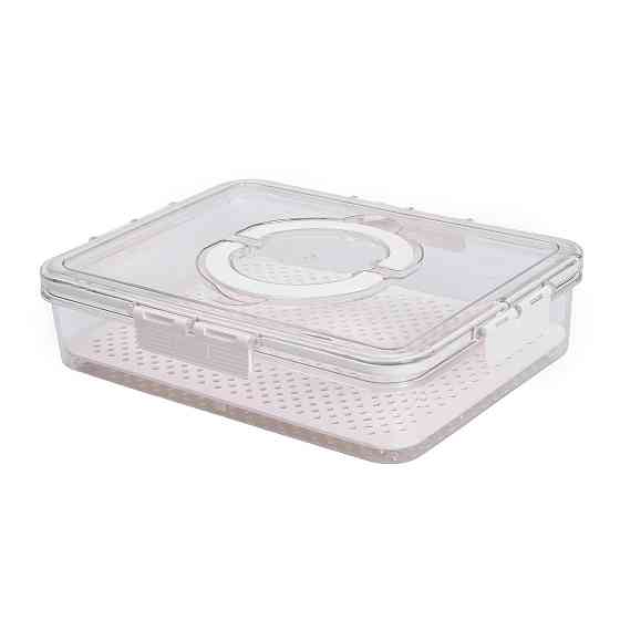 Yiwu Контейнер для їжі з ручкою 31х24х7 см пластиковий харчовий контейнер 2.5 л HP-27-10 Киев