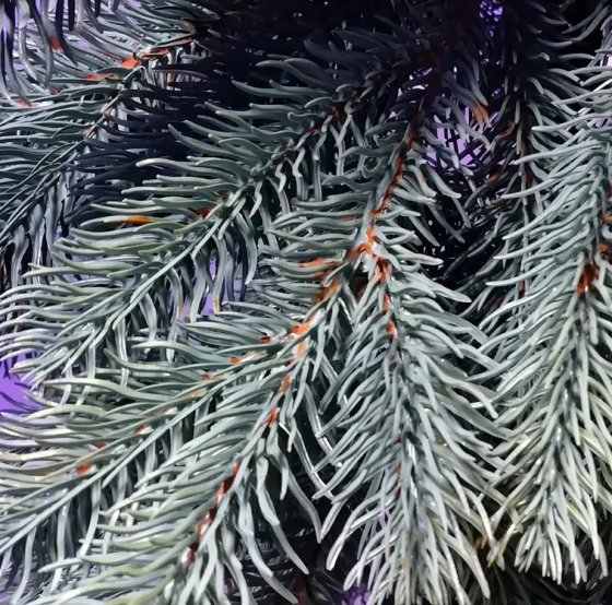 Гірлянда густа із хвої Еліт 3 м лита (Блакитна) Київ