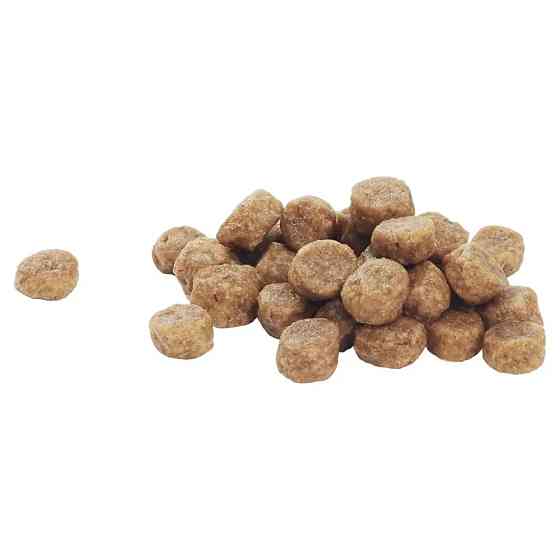 Сухий корм PRO PLAN Small&Mini Puppy  Київ